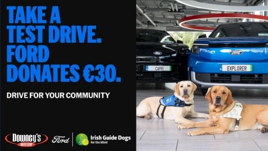 Irish Guide Dogs