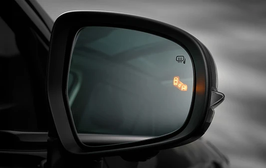Blind Spot Monitor